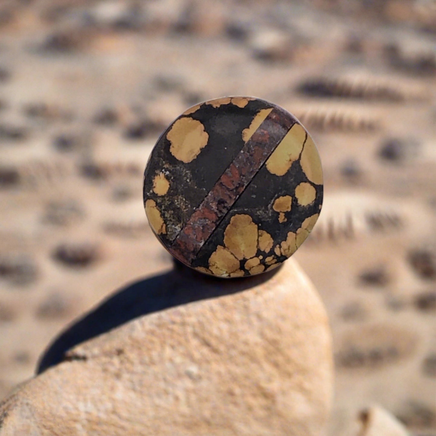 Polychrome Turquoise, red Dino-bone, intarsia