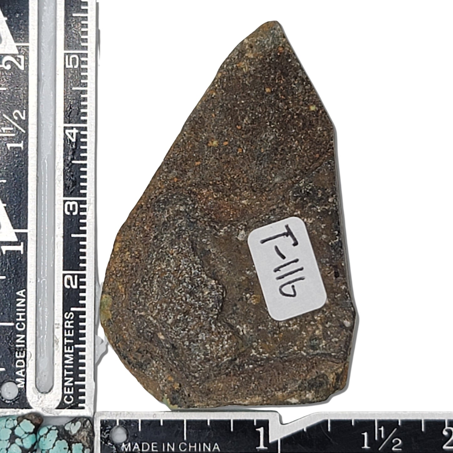 A 19-gram turquoise stone in a soothing greenish-blue shade with a fine brown matrix, ideal for crafting or collecting. Available at www.naturalturquoise.com.